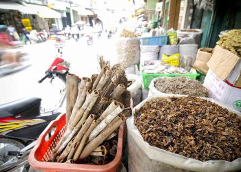 Saigon Insider Vespa Tour